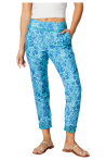 MCPA0041H