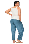 PAP0102C