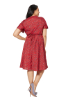 MCROP0117A